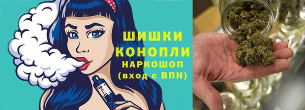 шишки Алзамай