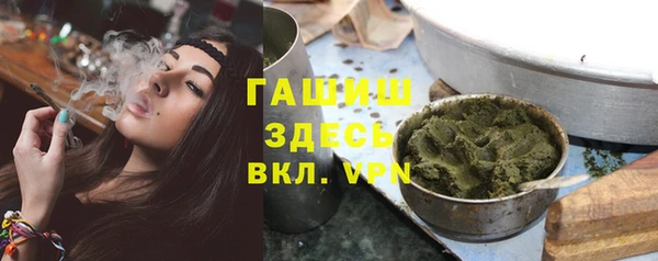 сатива Инта