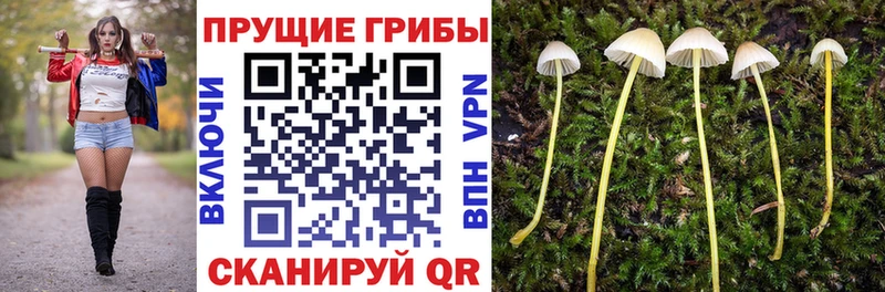 где можно купить   ссылка на мегу ТОР  Галлюциногенные грибы GOLDEN TEACHER  Барнаул 
